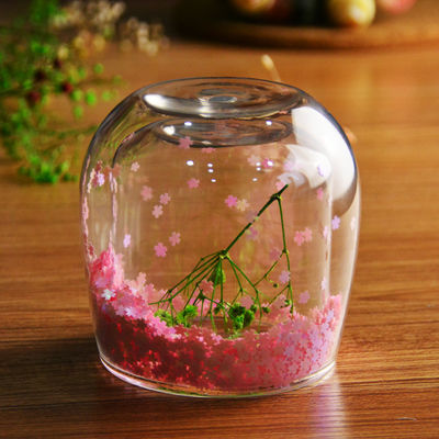 calidad Copo de café de vidrio de doble pared de luces decorativas fábrica